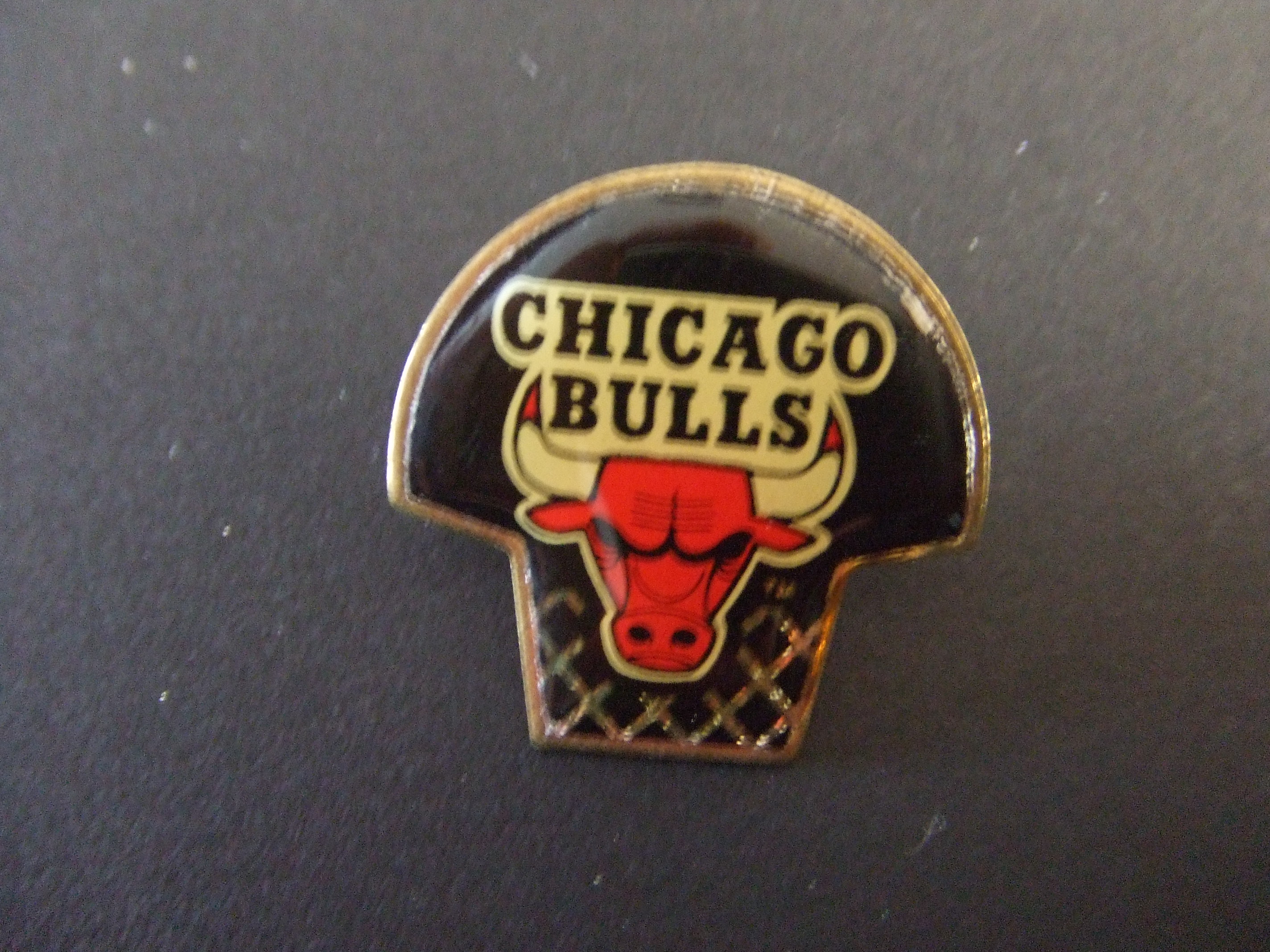 Chicago Bulls basketbal Central Division Eastern Conference